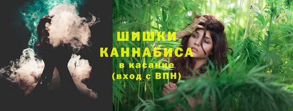 трава Заводоуковск