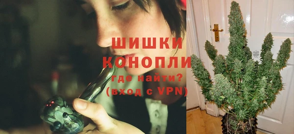 трава Заводоуковск