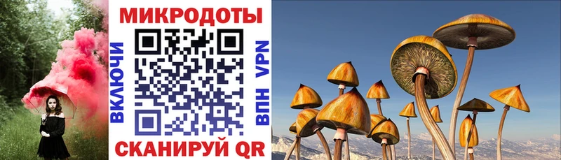 Псилоцибиновые грибы мухоморы  Купить где  Ковылкино 