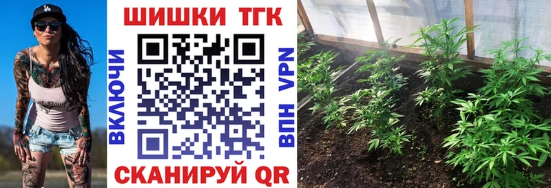 Купить  Ковылкино  Бошки марихуана ГИДРОПОН 